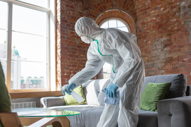 Best Emergency Mold Remediation  in Whitney, NV